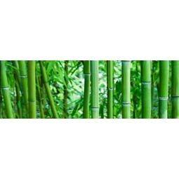 CERAMIKA KOŃSKIE bamboo glass inserto 2x25x75 rect. g1 kpl