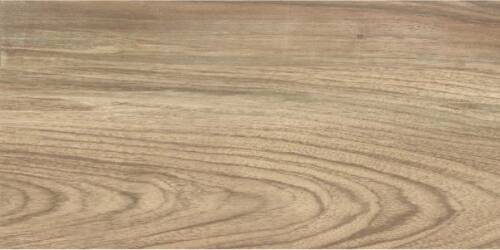 CERAMIKA COLOR emo wood brown rect. 30x60 g1 m2